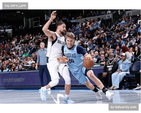 西部前十格局基本确定 三大豪门灰熊独行侠国王恐无缘季后赛